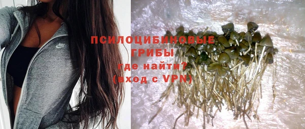 спиды Алексин