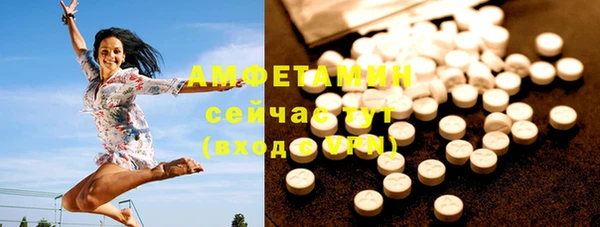 ГАЛЛЮЦИНОГЕННЫЕ ГРИБЫ Алзамай